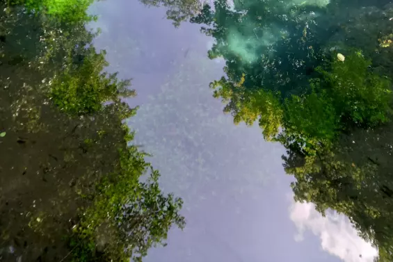 Harmonise ta FL'Âme - Laura Sepieter - guérisseuse de l'âme, du coeur et des corps, accompagnatrice sur votre chemin d'éveil et/ou votre parcours de Flammes Jumelles constellations, guérison des blessures de l'âme, coaching, sonothérapie énergétique