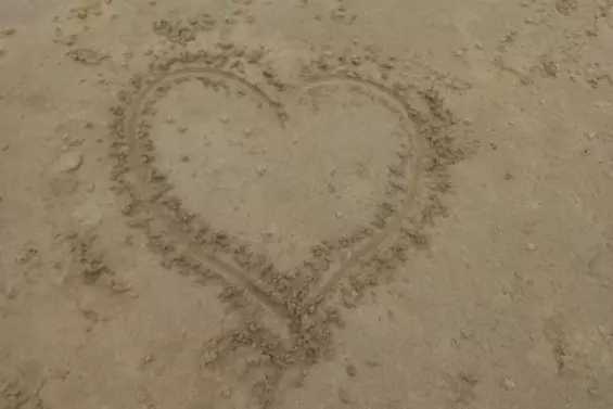 Harmonise ta FL'Âme - Laura Sepieter - guérisseuse de l'âme, du coeur et des corps, accompagnatrice sur votre chemin d'éveil et/ou votre parcours de Flammes Jumelles constellations, guérison des blessures de l'âme, coaching, sonothérapie énergétique