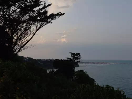 Harmonise ta FL'Âme - Laura Sepieter - guérisseuse de l'âme, du coeur et des corps, accompagnatrice sur votre chemin d'éveil et/ou votre parcours de Flammes Jumelles constellations, guérison des blessures de l'âme, coaching, sonothérapie énergétique